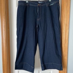 LOFT Plus Wide Leg Ankle Jeans